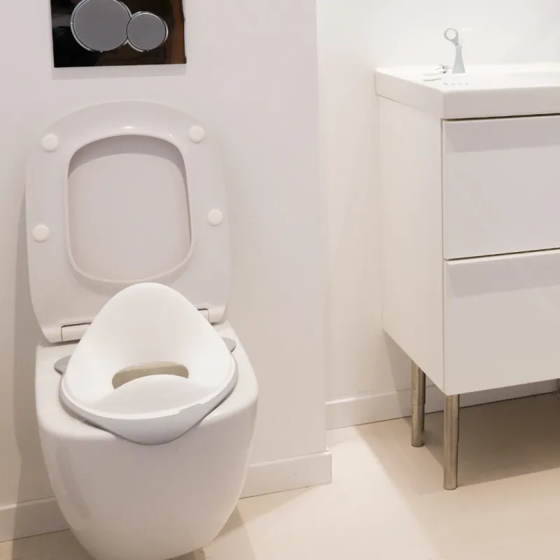 Beaba Toilet Trainer Seat - Light Mist