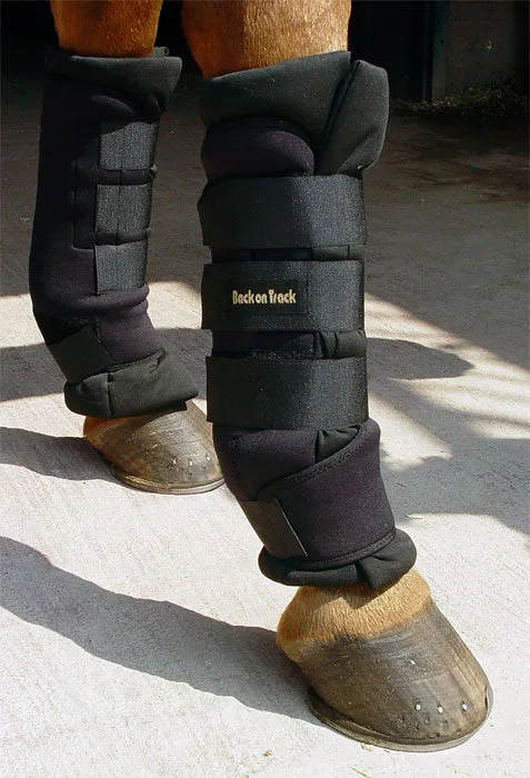 BOT Equine Quick Wraps