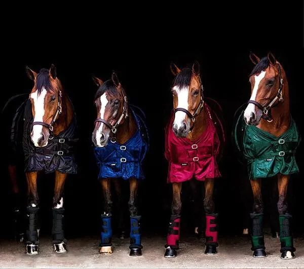 BOT Equine Quick Wraps