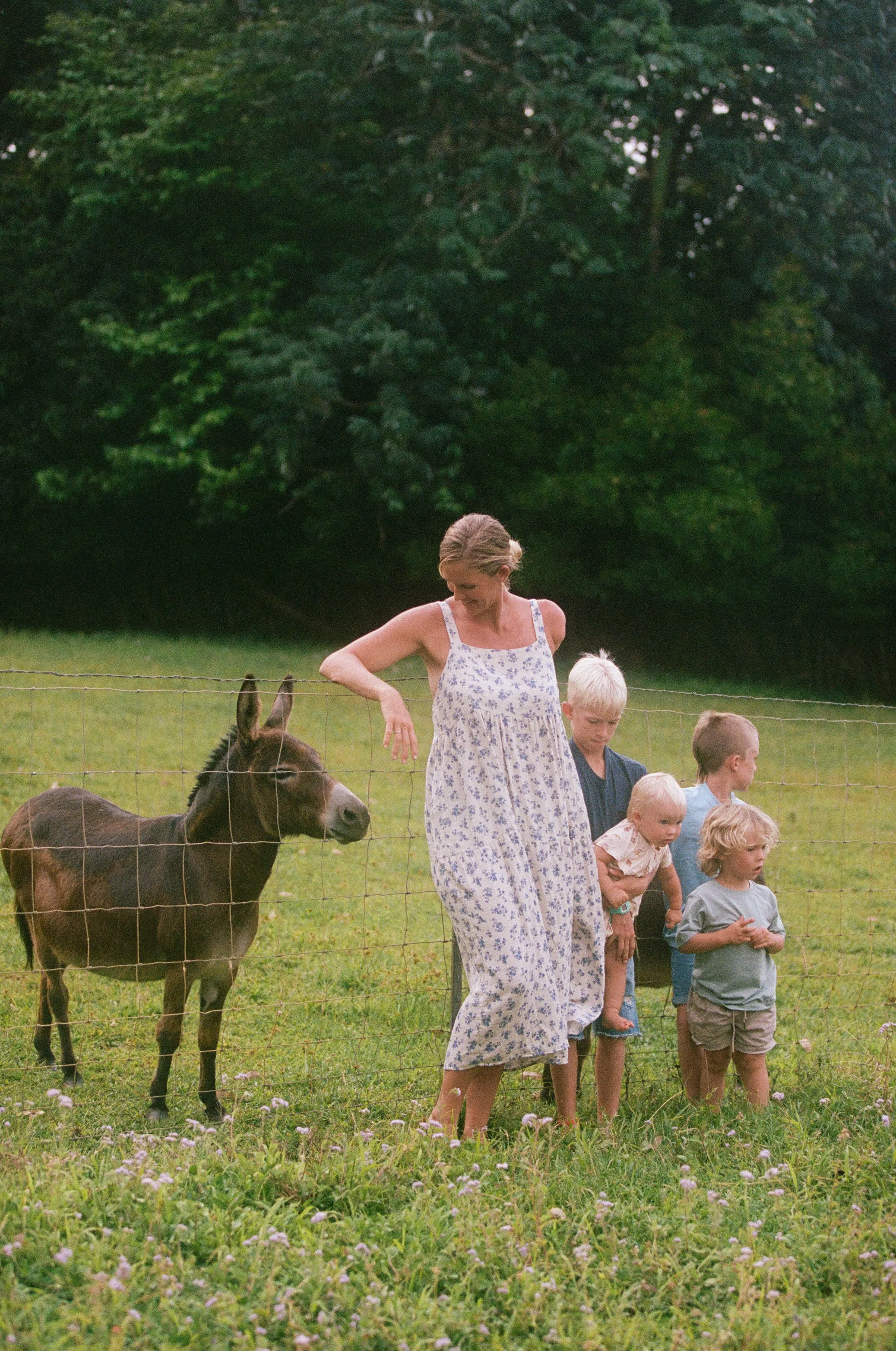 Hannah Dress