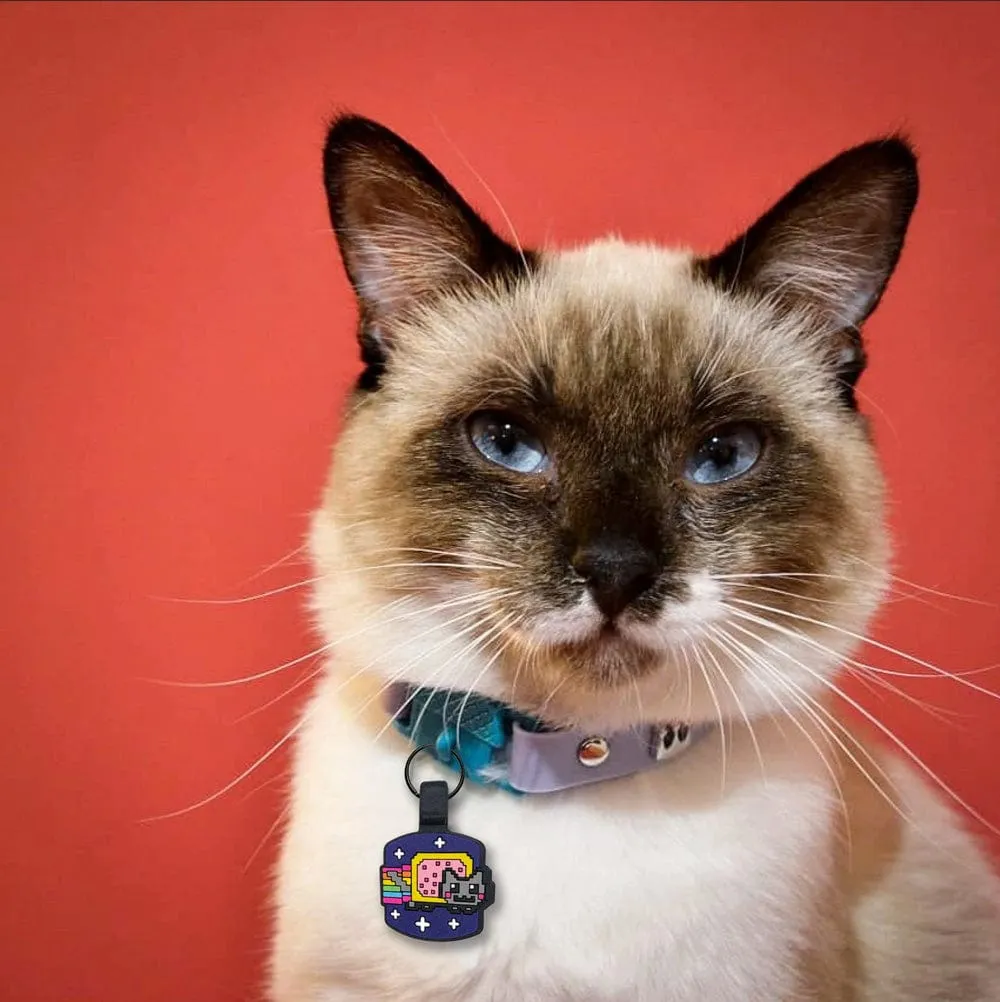 Kittyrama Violet Quick Release Silicone Cat Collar