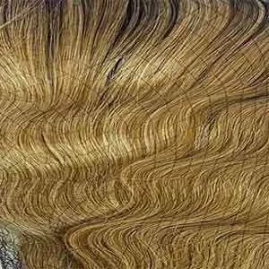 Outre Synthetic Quick Weave Half Wig - NEESHA H302